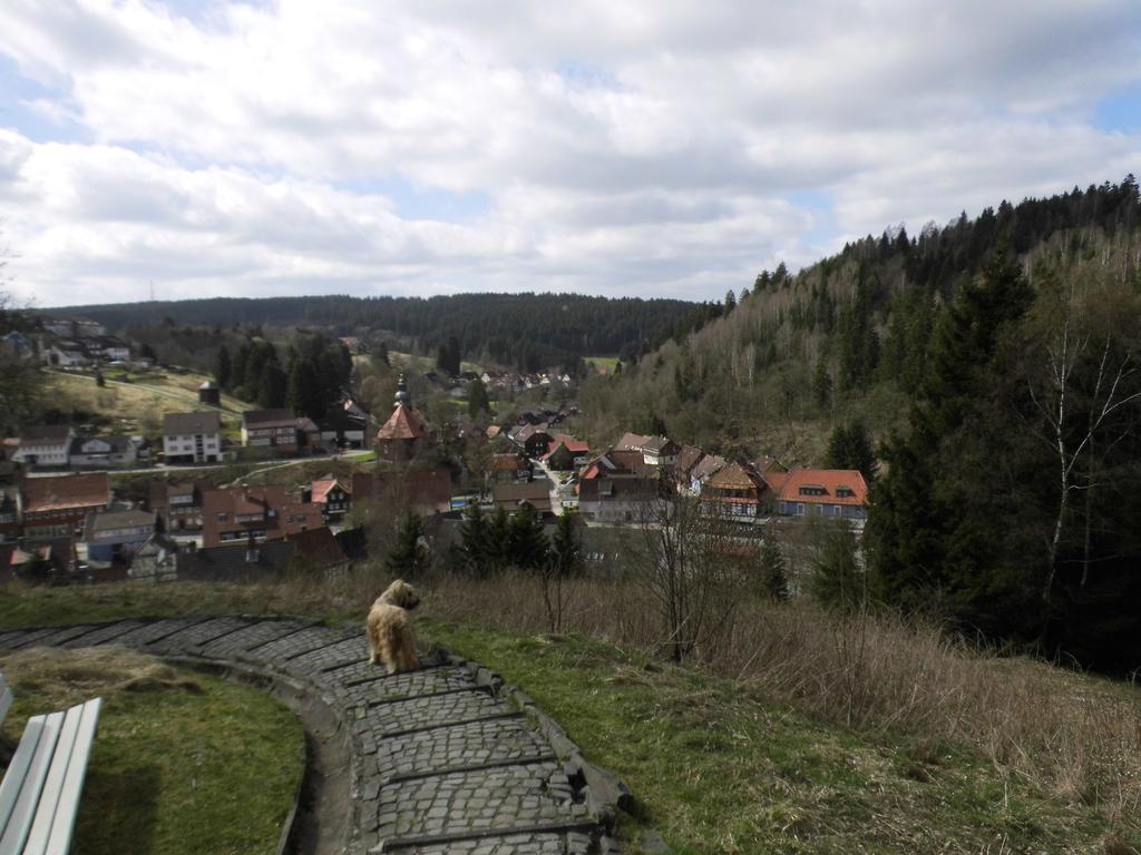 Ferienappartement Potthoff 1 Altenau  Luaran gambar